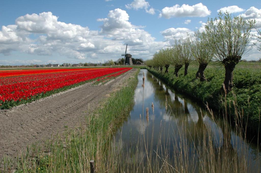 Restinn Warmenhuizen Exteriör bild